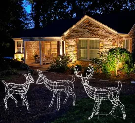 3-Piece Woodland Family LED Wire Sculpture Combo