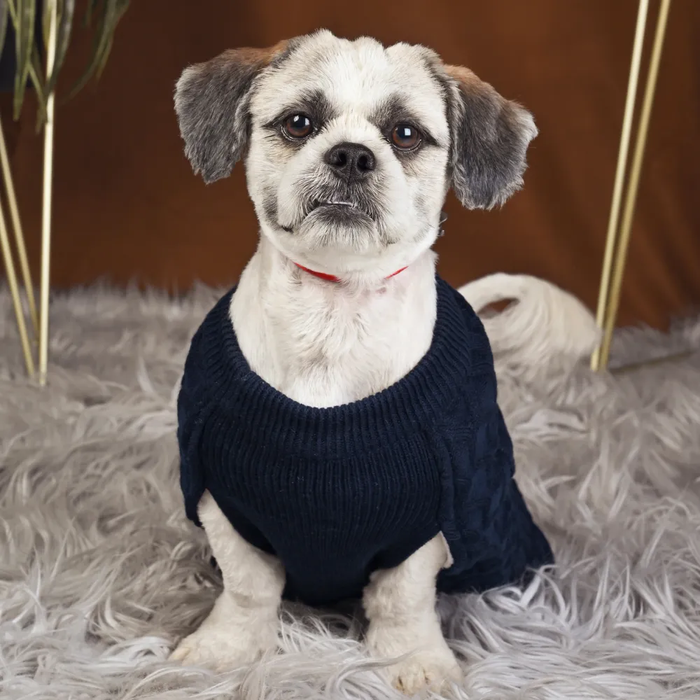 Petsnugs Cable Knit Sweater for Dogs and Cats (Navy Blue)